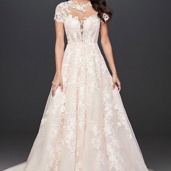 Oleg Cassini Lace Illusion Cap Sleeve 